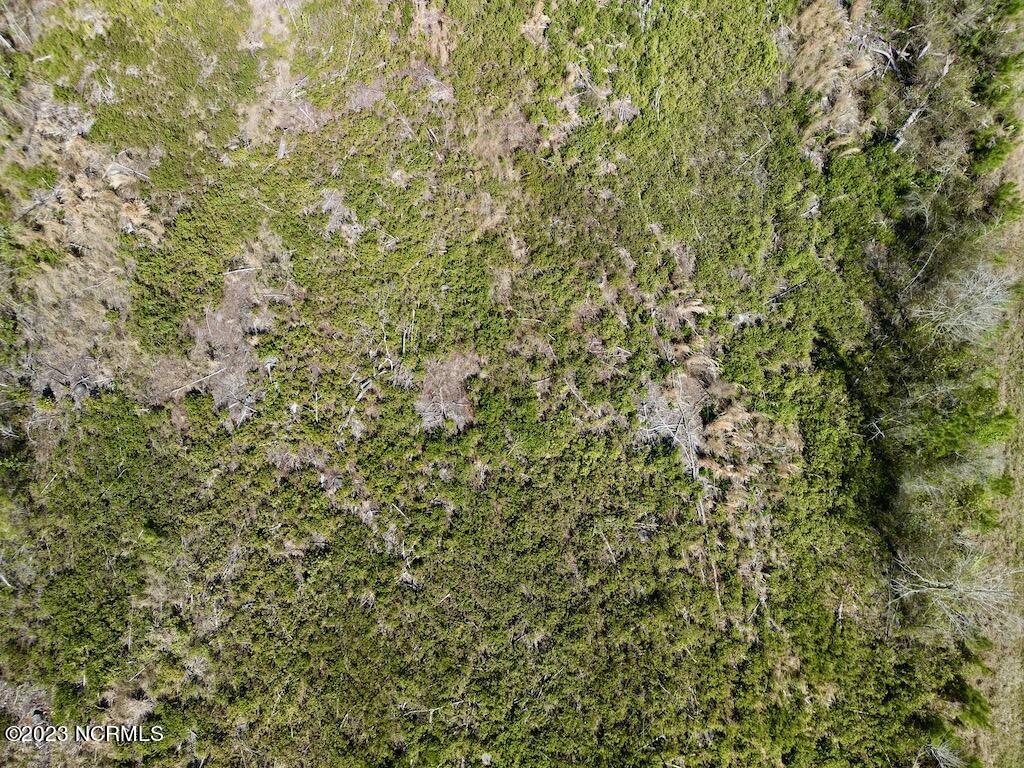 0 Tuscarora Rhems Road New Bern, NC 28562 - Photo 21 of 25 20