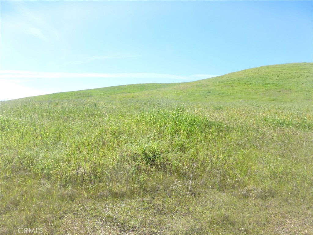 0 Douglas Road San Miguel, CA 93451 - Photo 48 of 51
