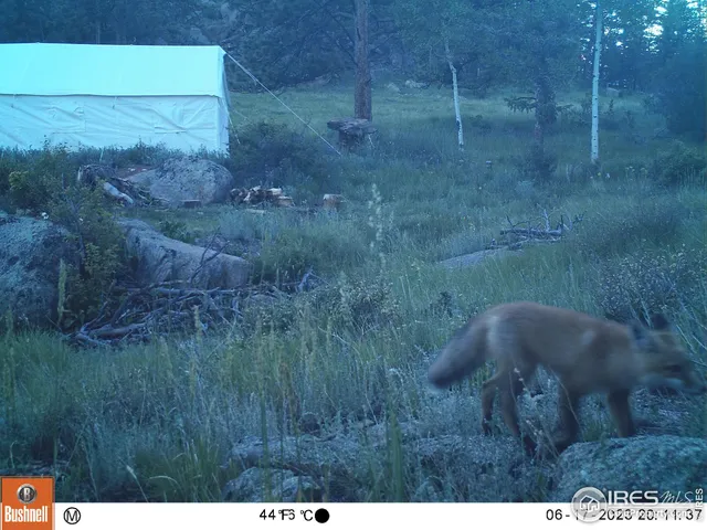 $89,900 | 102 Mt Princeton Court, Livermore, CO 80536