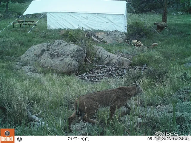 $89,900 | 102 Mt Princeton Court, Livermore, CO 80536