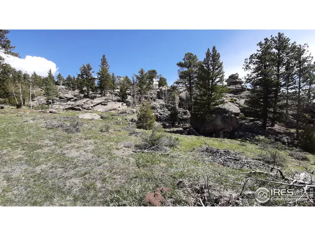 $89,900 | 102 Mt Princeton Court, Livermore, CO 80536