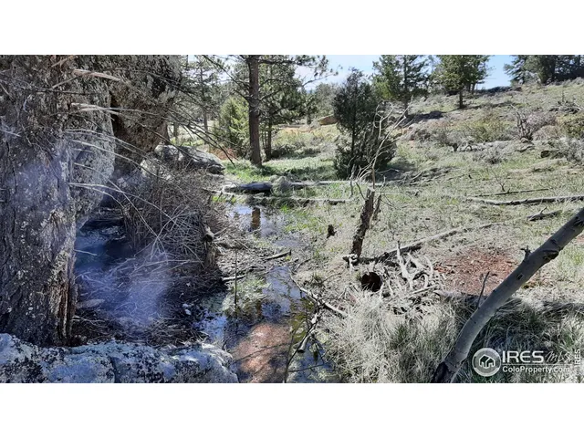 $89,900 | 102 Mt Princeton Court, Livermore, CO 80536