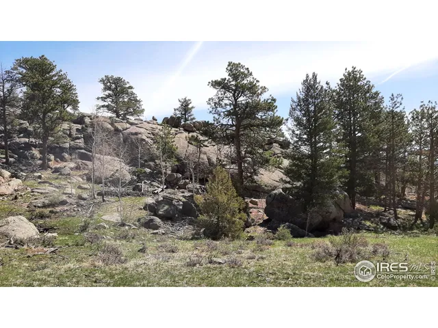 $89,900 | 102 Mt Princeton Court, Livermore, CO 80536