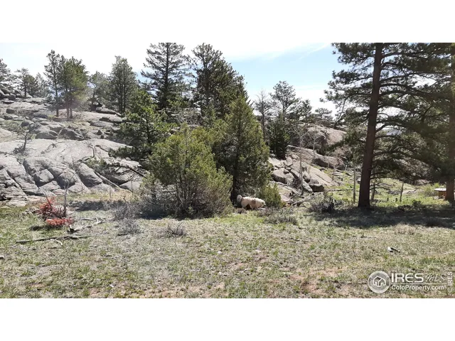 $89,900 | 102 Mt Princeton Court, Livermore, CO 80536