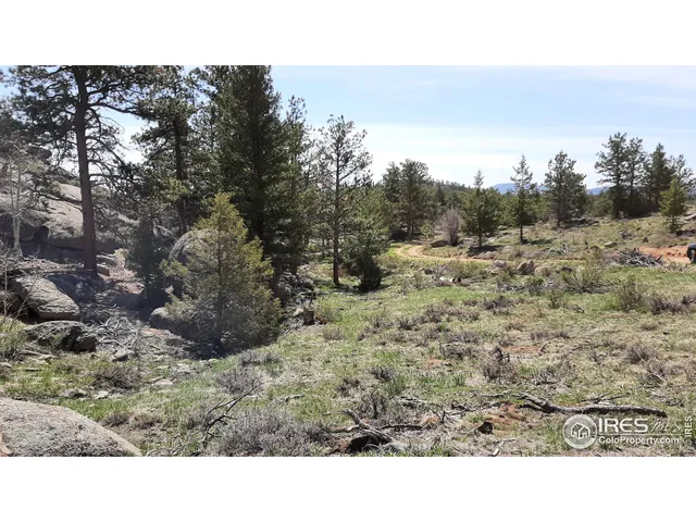 $89,900 | 102 Mt Princeton Court, Livermore, CO 80536