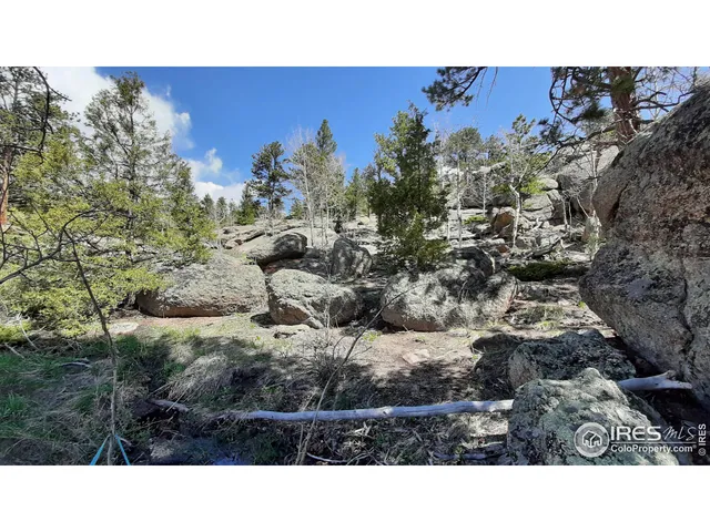 $89,900 | 102 Mt Princeton Court, Livermore, CO 80536