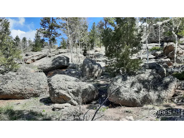 $89,900 | 102 Mt Princeton Court, Livermore, CO 80536