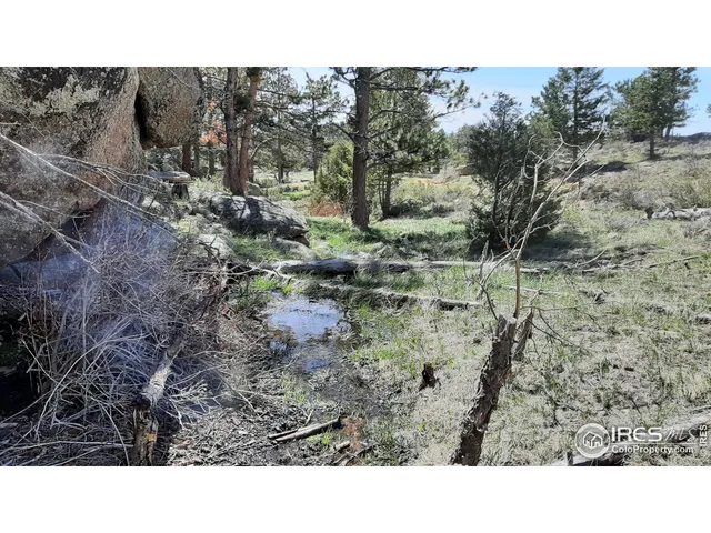 $89,900 | 102 Mt Princeton Court, Livermore, CO 80536