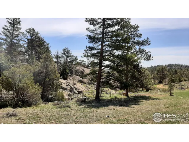 $89,900 | 102 Mt Princeton Court, Livermore, CO 80536