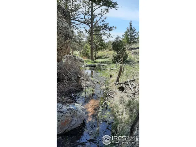 $89,900 | 102 Mt Princeton Court, Livermore, CO 80536