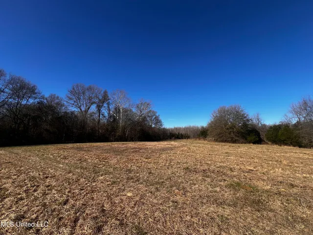 $275,000 | 0 Hanks Trial Trail, Flora, MS 39071