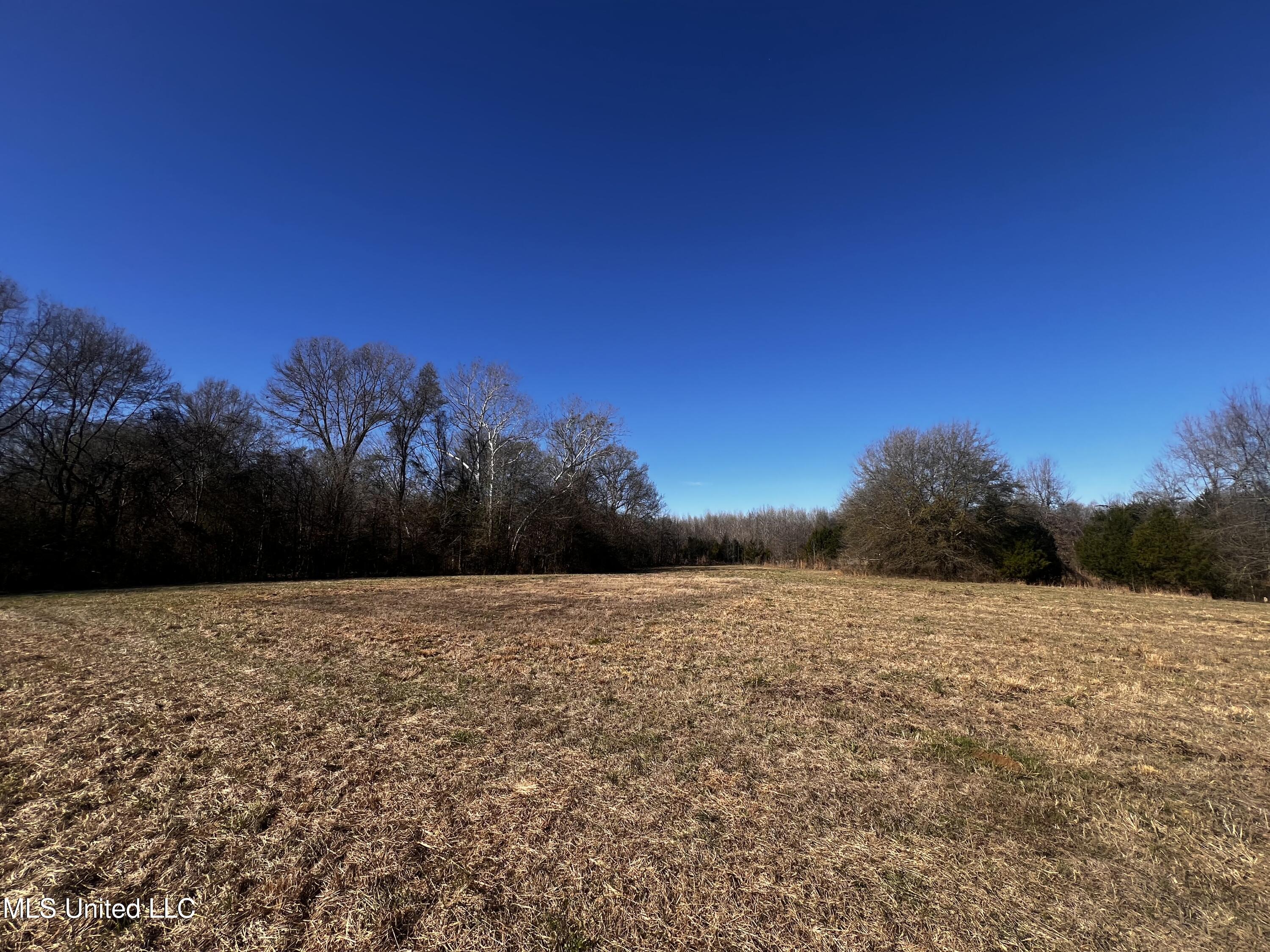 0 Hanks Trial Trail Flora, MS 39071 - Photo 11 of 20 IMG_0823