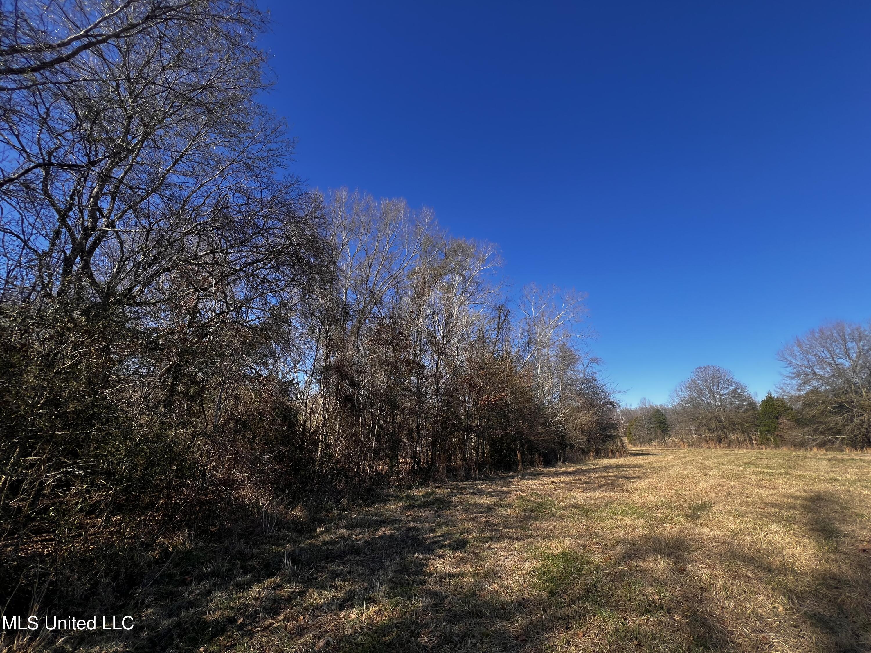 0 Hanks Trial Trail Flora, MS 39071 - Photo 12 of 20 IMG_0825
