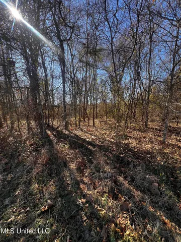 $275,000 | 0 Hanks Trial Trail, Flora, MS 39071