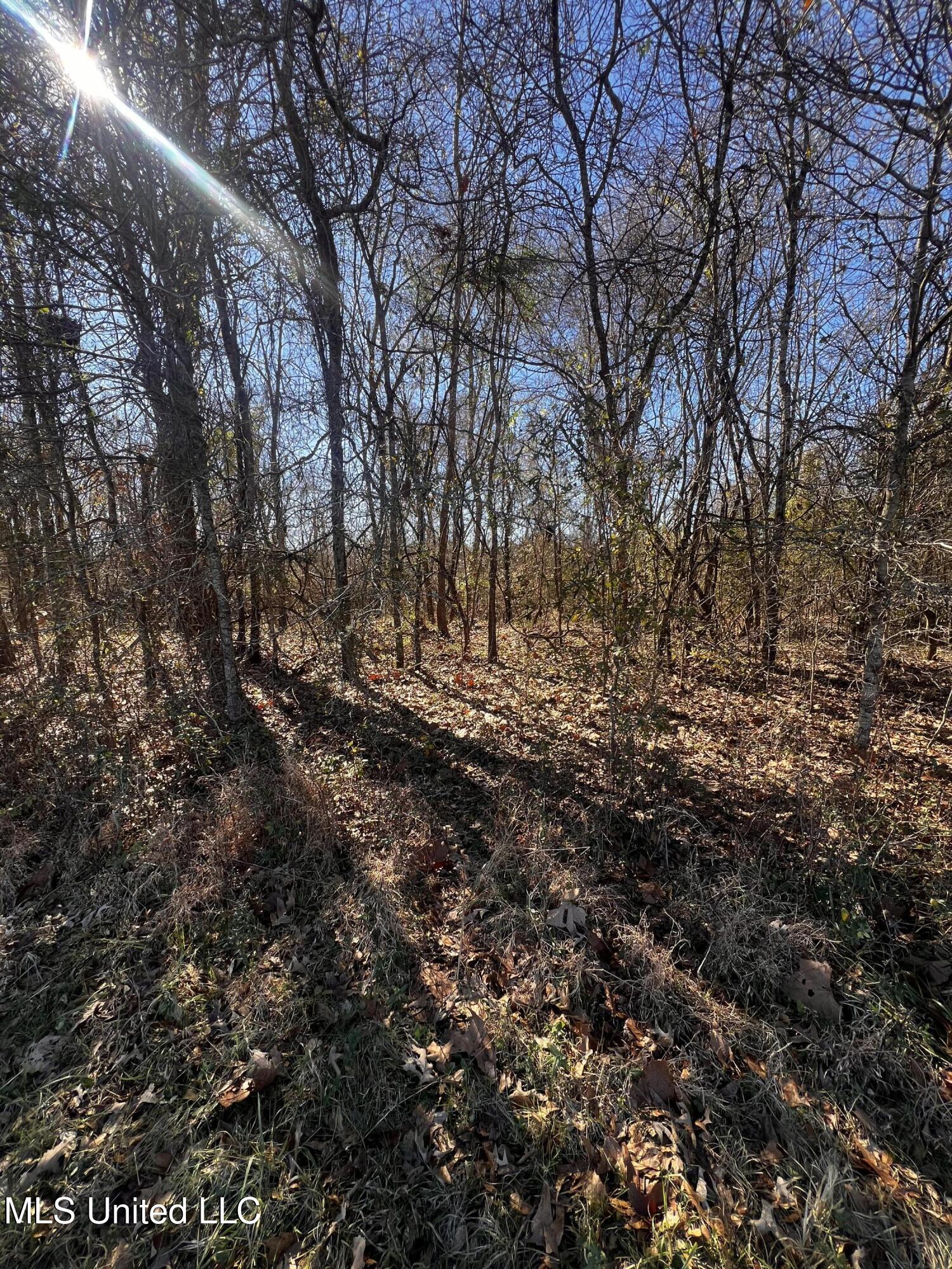 0 Hanks Trial Trail Flora, MS 39071 - Photo 13 of 20 IMG_0824