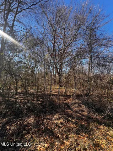 $275,000 | 0 Hanks Trial Trail, Flora, MS 39071