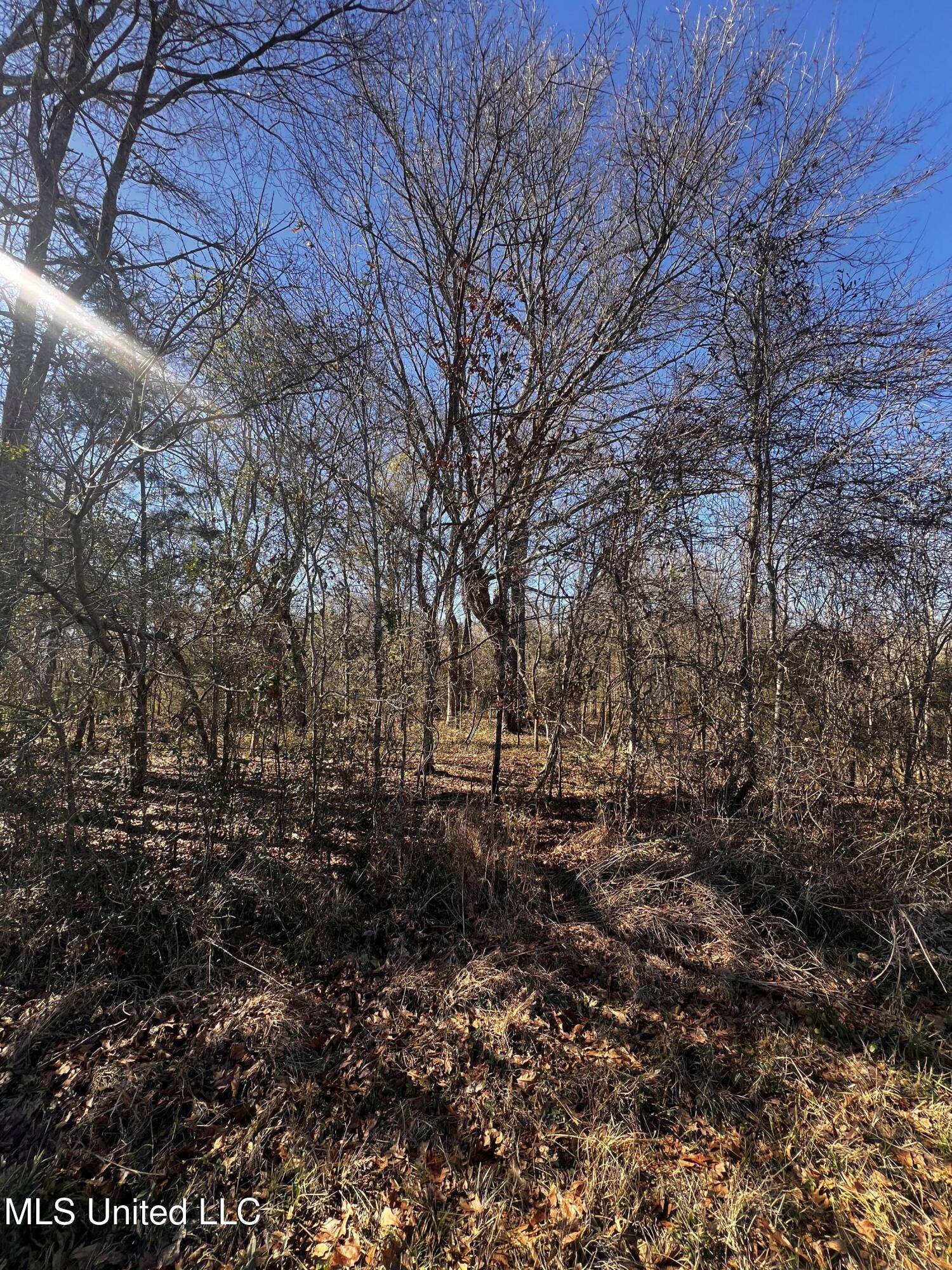 0 Hanks Trial Trail Flora, MS 39071 - Photo 14 of 20 IMG_0827