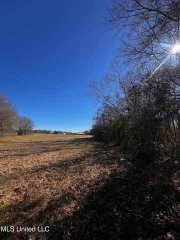 $275,000 | 0 Hanks Trial Trail, Flora, MS 39071