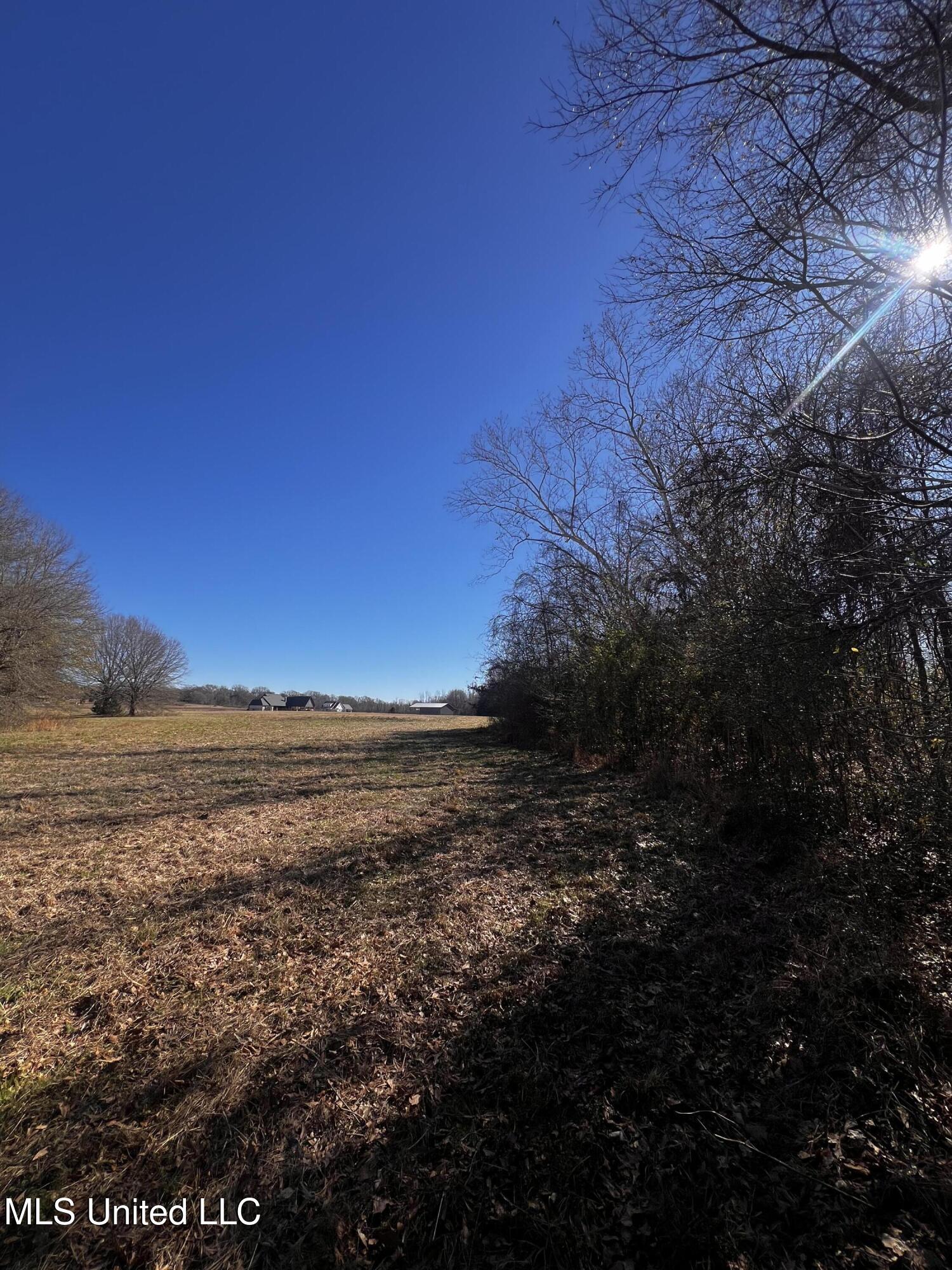 0 Hanks Trial Trail Flora, MS 39071 - Photo 15 of 20 IMG_0828