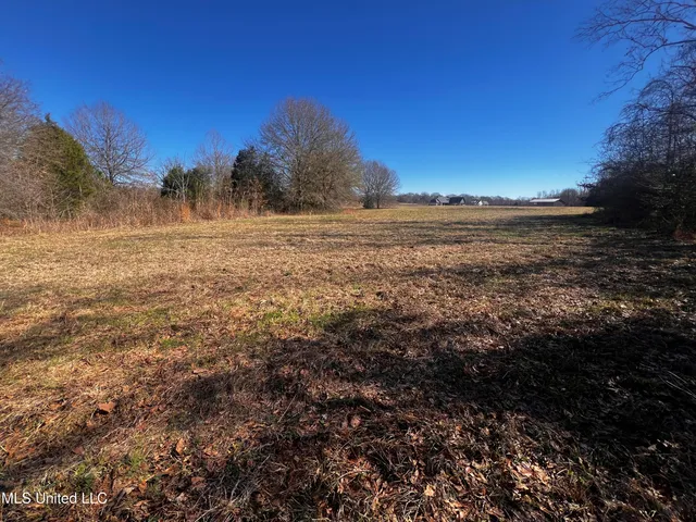 $275,000 | 0 Hanks Trial Trail, Flora, MS 39071