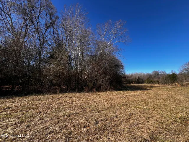 $275,000 | 0 Hanks Trial Trail, Flora, MS 39071
