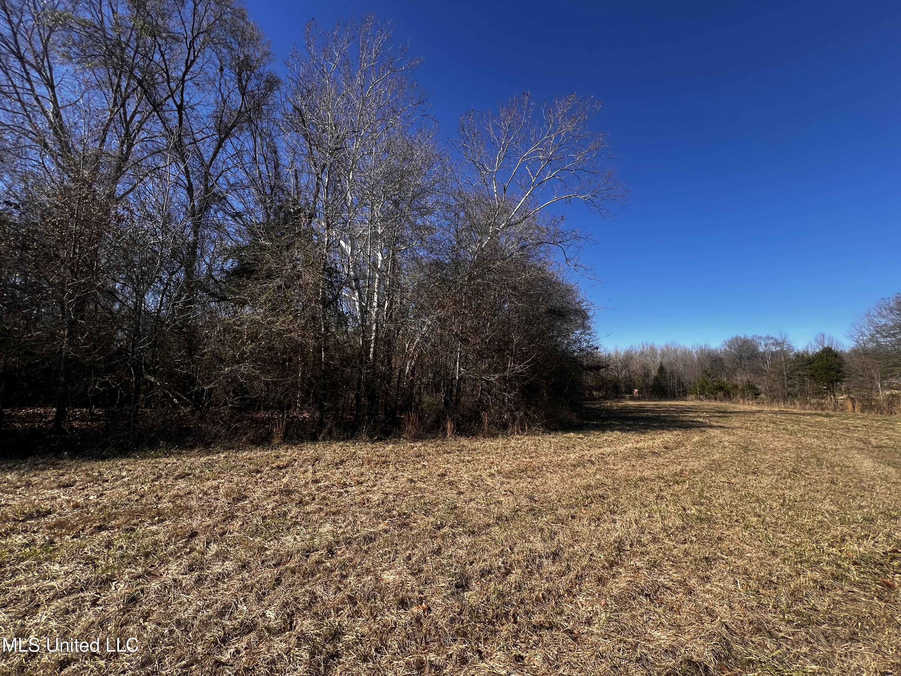 0 Hanks Trial Trail Flora, MS 39071 - Photo 17 of 20 IMG_0831