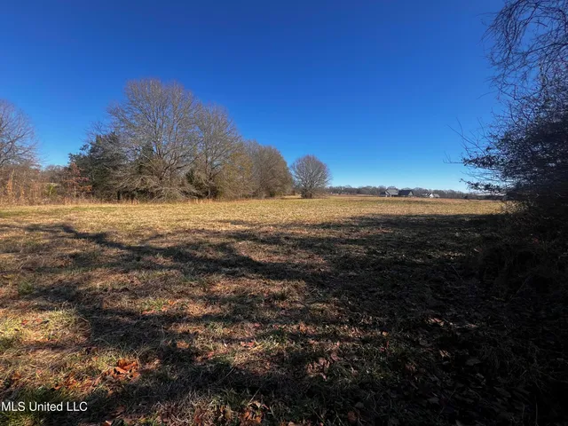 $275,000 | 0 Hanks Trial Trail, Flora, MS 39071