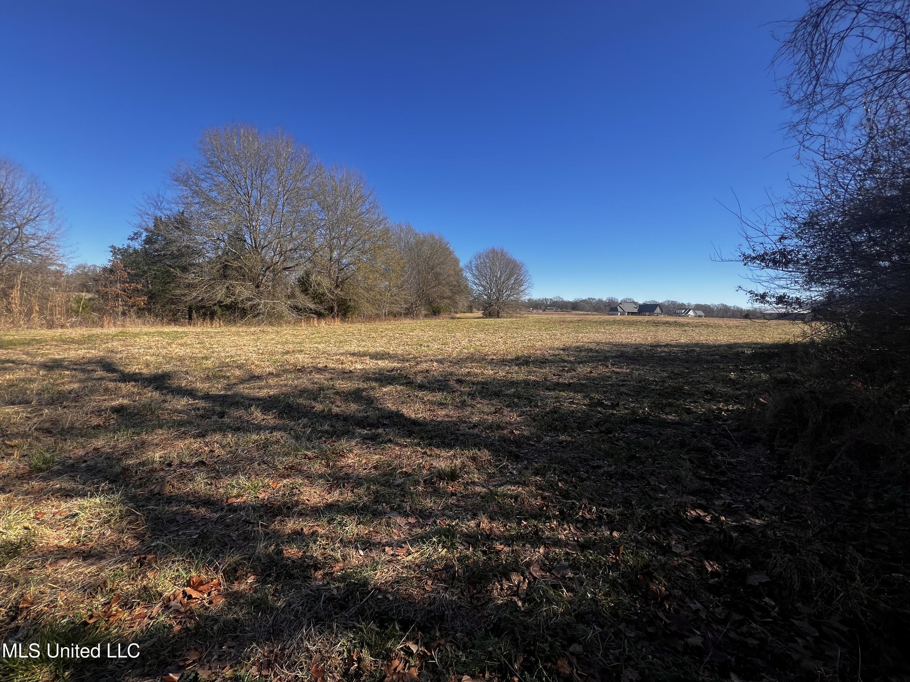 0 Hanks Trial Trail Flora, MS 39071 - Photo 18 of 20 IMG_0830