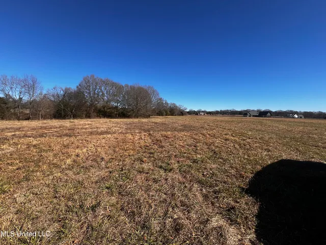 $275,000 | 0 Hanks Trial Trail, Flora, MS 39071