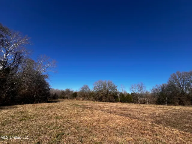 $275,000 | 0 Hanks Trial Trail, Flora, MS 39071