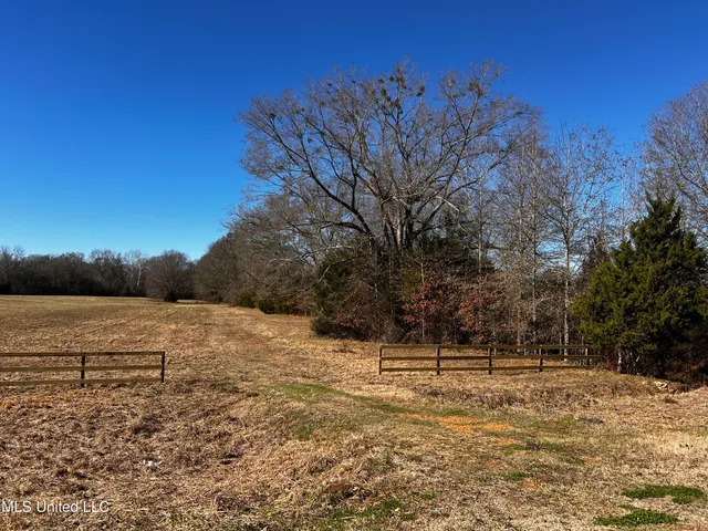 $275,000 | 0 Hanks Trial Trail, Flora, MS 39071