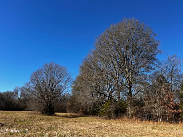 $275,000 | 0 Hanks Trial Trail, Flora, MS 39071