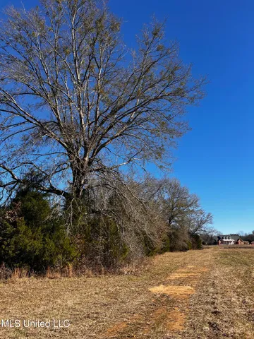 $275,000 | 0 Hanks Trial Trail, Flora, MS 39071