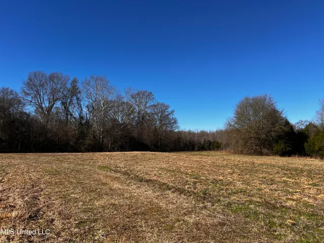 $275,000 | 0 Hanks Trial Trail, Flora, MS 39071