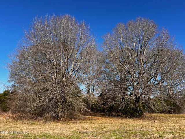 $275,000 | 0 Hanks Trial Trail, Flora, MS 39071