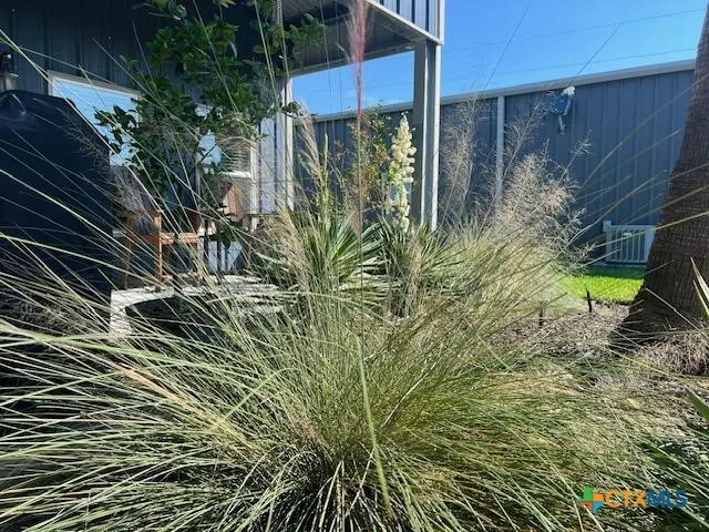 a view of a backyard