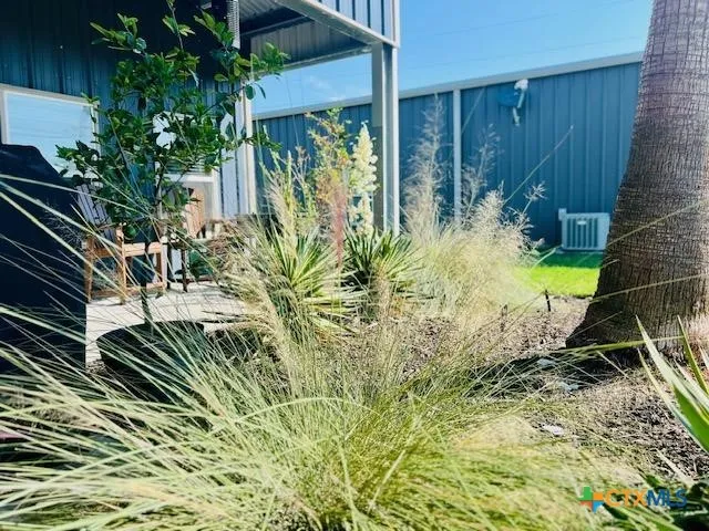 a view of a backyard