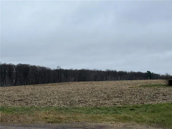 $110,000 | Lot 1 Washburn County Hwy Md, Sarona, WI 54870