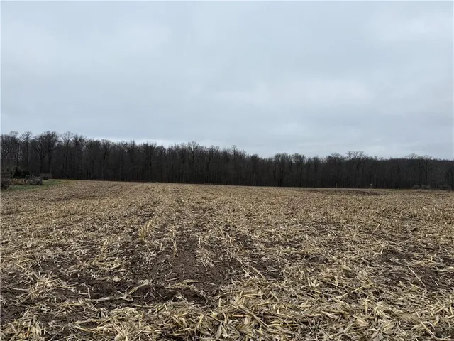 $110,000 | Lot 1 Washburn County Hwy Md, Sarona, WI 54870