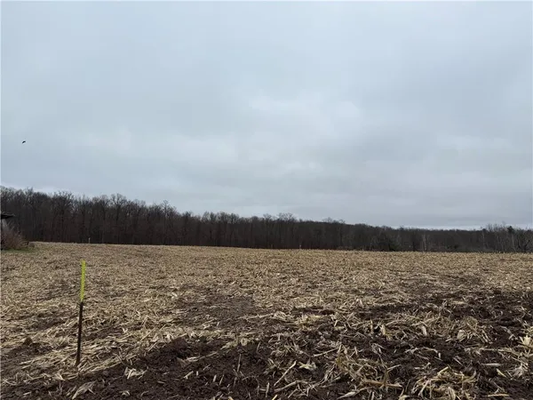 $110,000 | Lot 1 Washburn County Hwy Md, Sarona, WI 54870