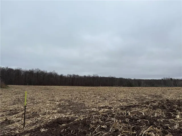 $110,000 | Lot 1 Washburn County Hwy Md, Sarona, WI 54870