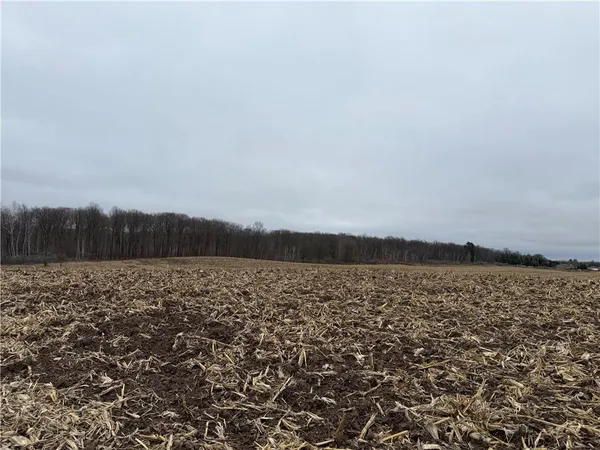 $110,000 | Lot 1 Washburn County Hwy Md, Sarona, WI 54870