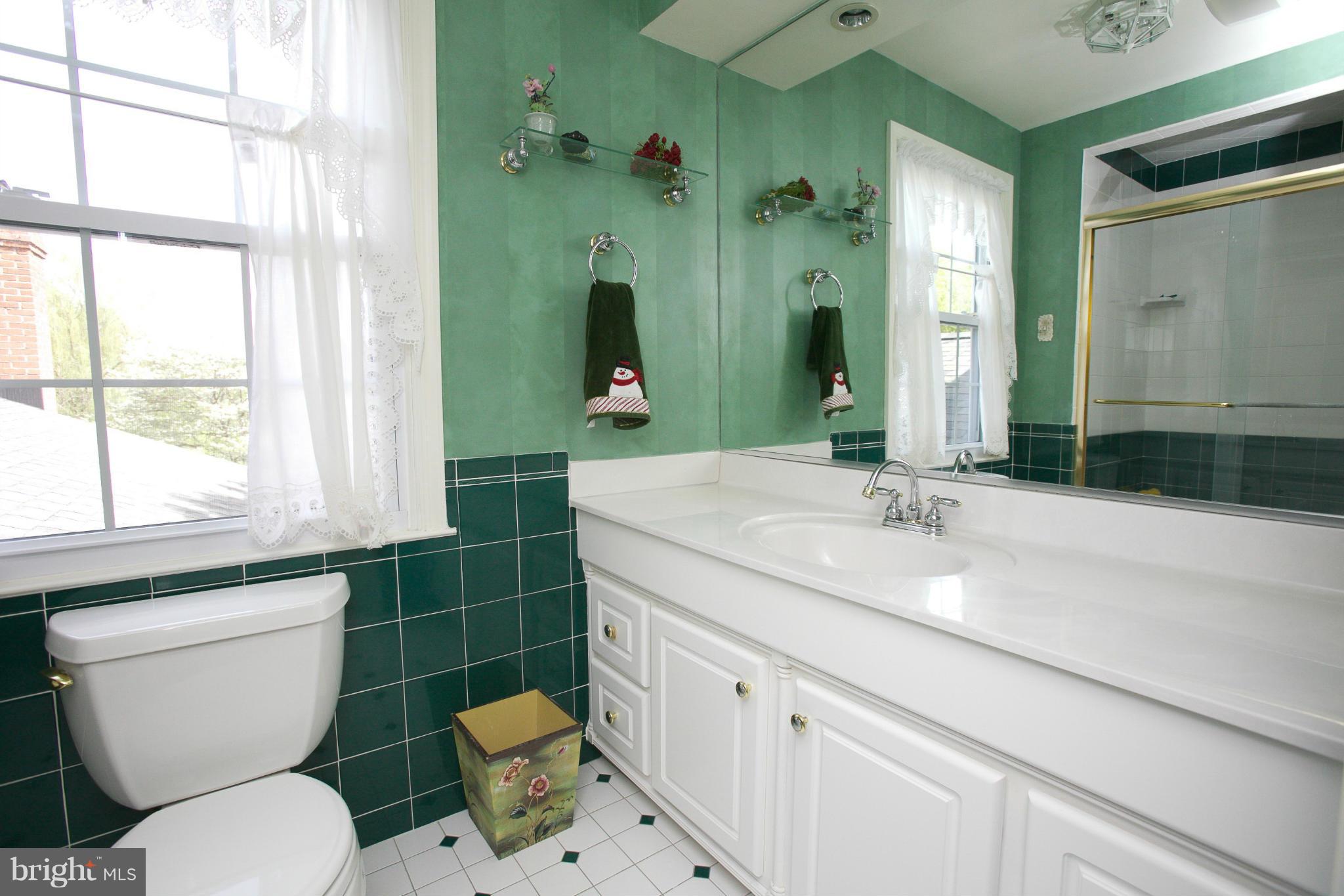 1820 Thornton Ridge Road Baltimore, MD 21204 - Photo 18 of 28 Master Bath