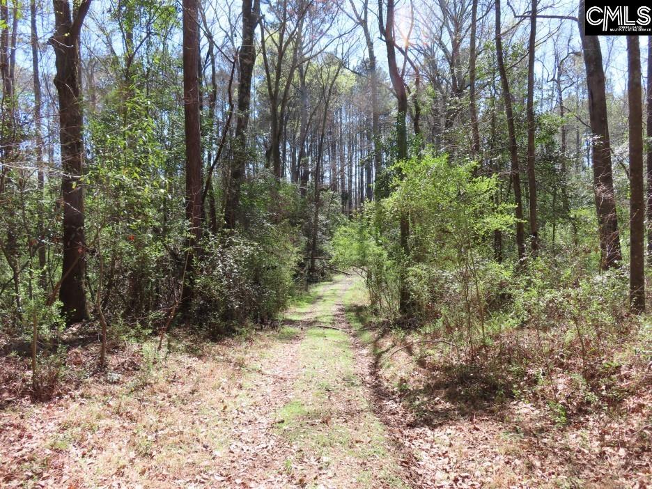 1672 Dixired Road Leesville, SC 29070 - Photo 11 of 67