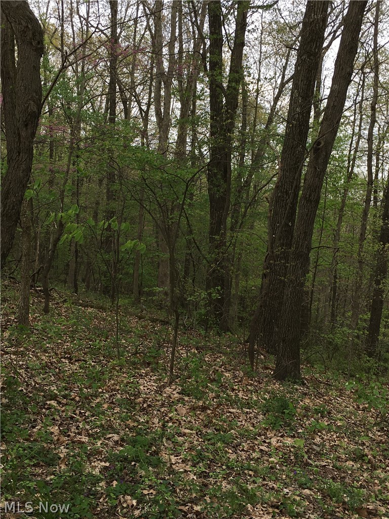 12200 Ripley Road Southeast Uhrichsville, OH 44683 - Photo 22 of 29 Gallery Image 22