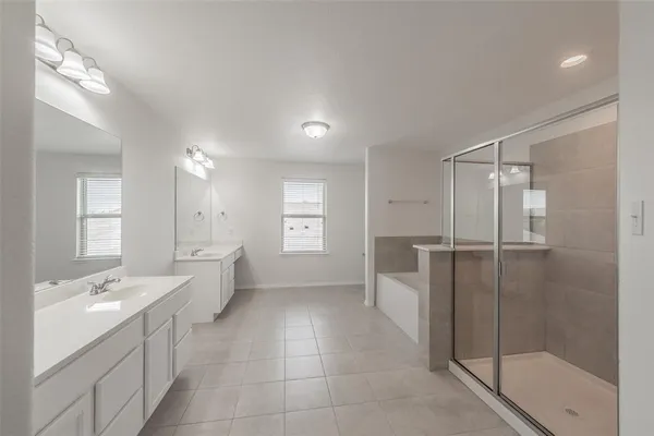 a bathroom with a shower a sink and a mirror