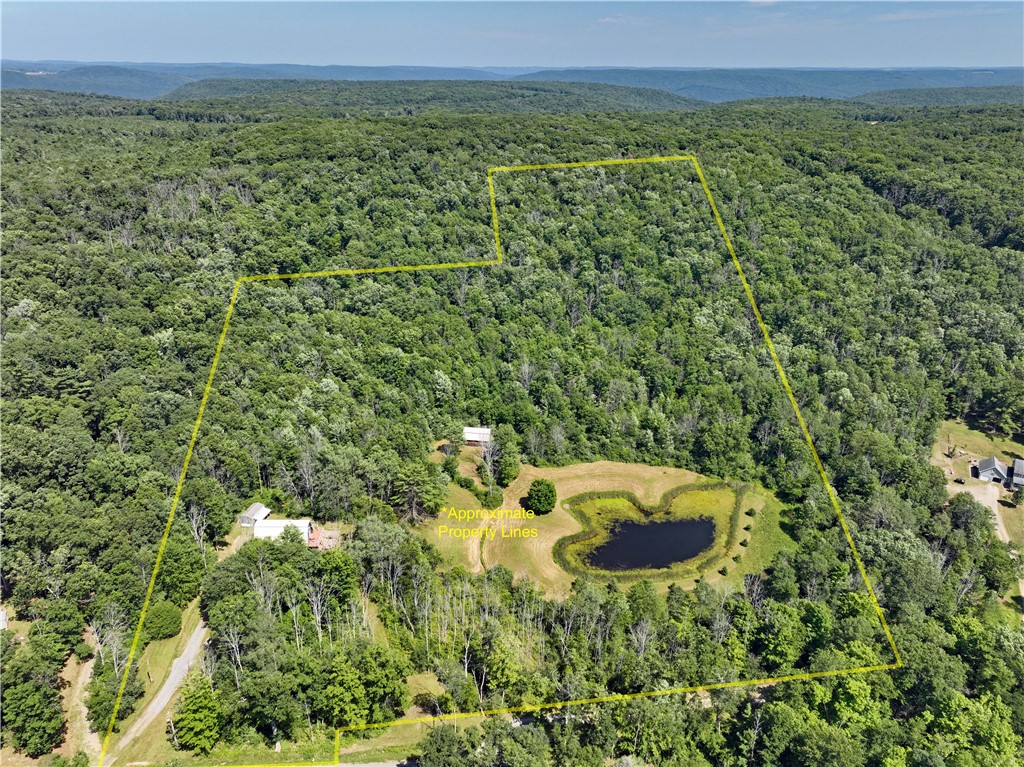 3390 Beeman Hollow Road Erwin, NY 14801 - Photo 7 of 40