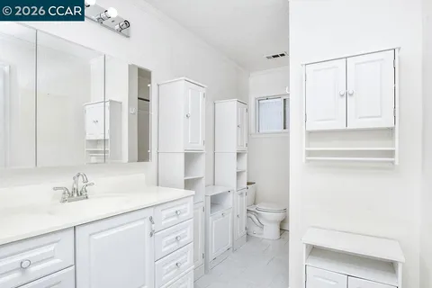 a bathroom with a sink a toilet and a shower