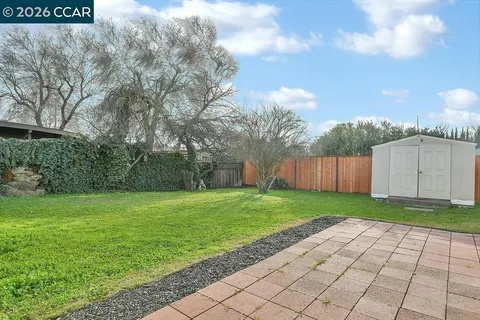a view of a backyard with large trees