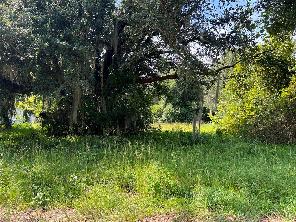 86095 John Street Yulee, FL 32097 - Photo 2 of 4 a view of a garden